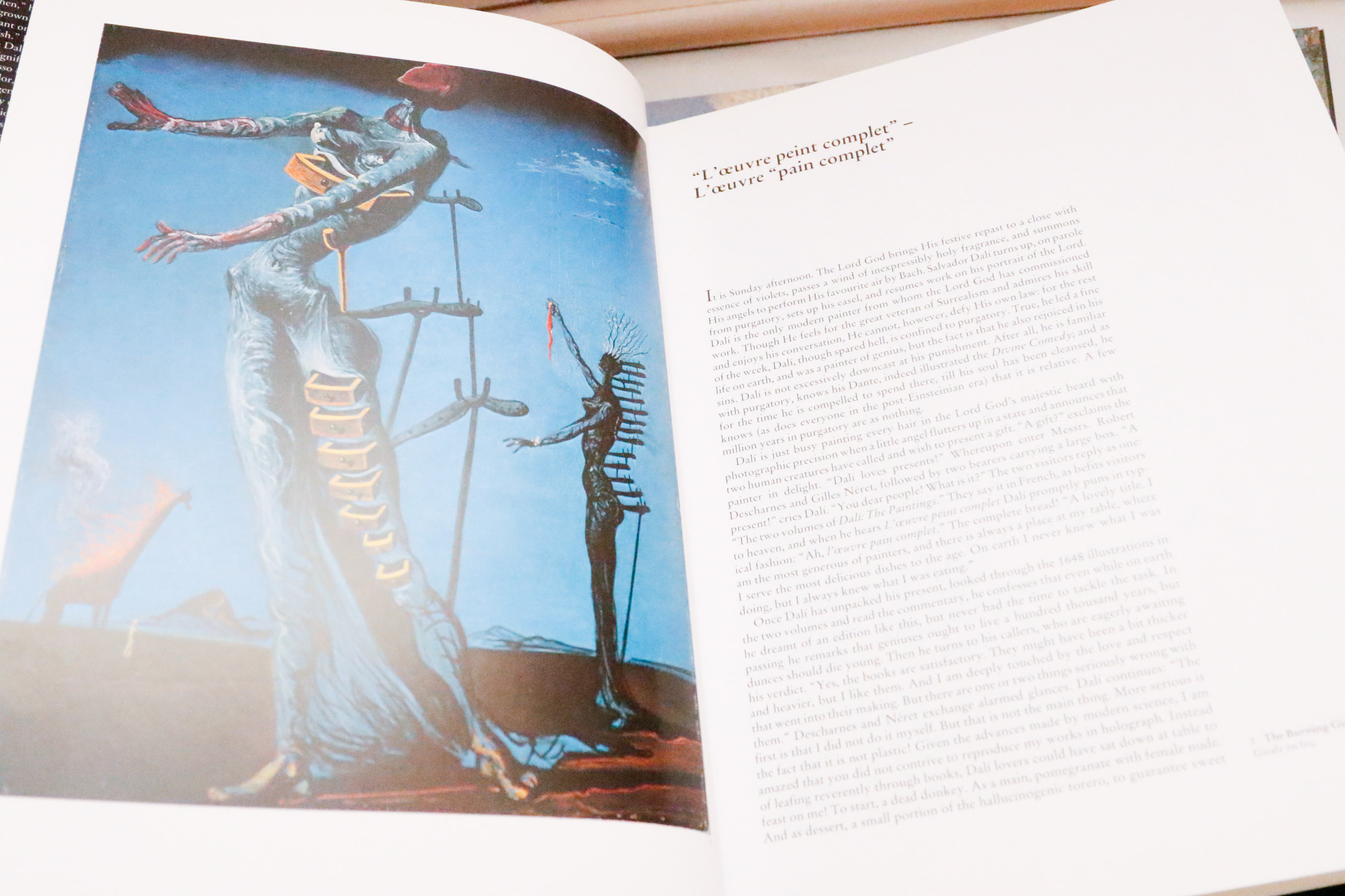 Twelve Large Format Books on Fine Art