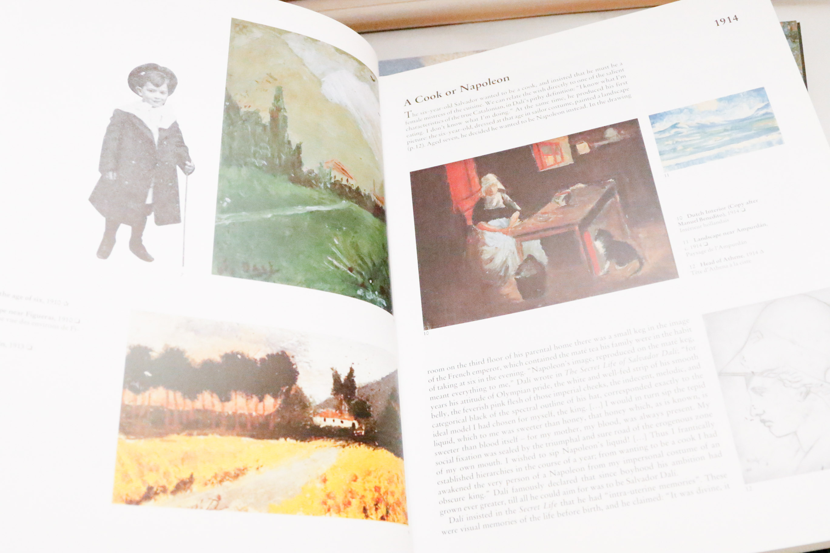 Twelve Large Format Books on Fine Art