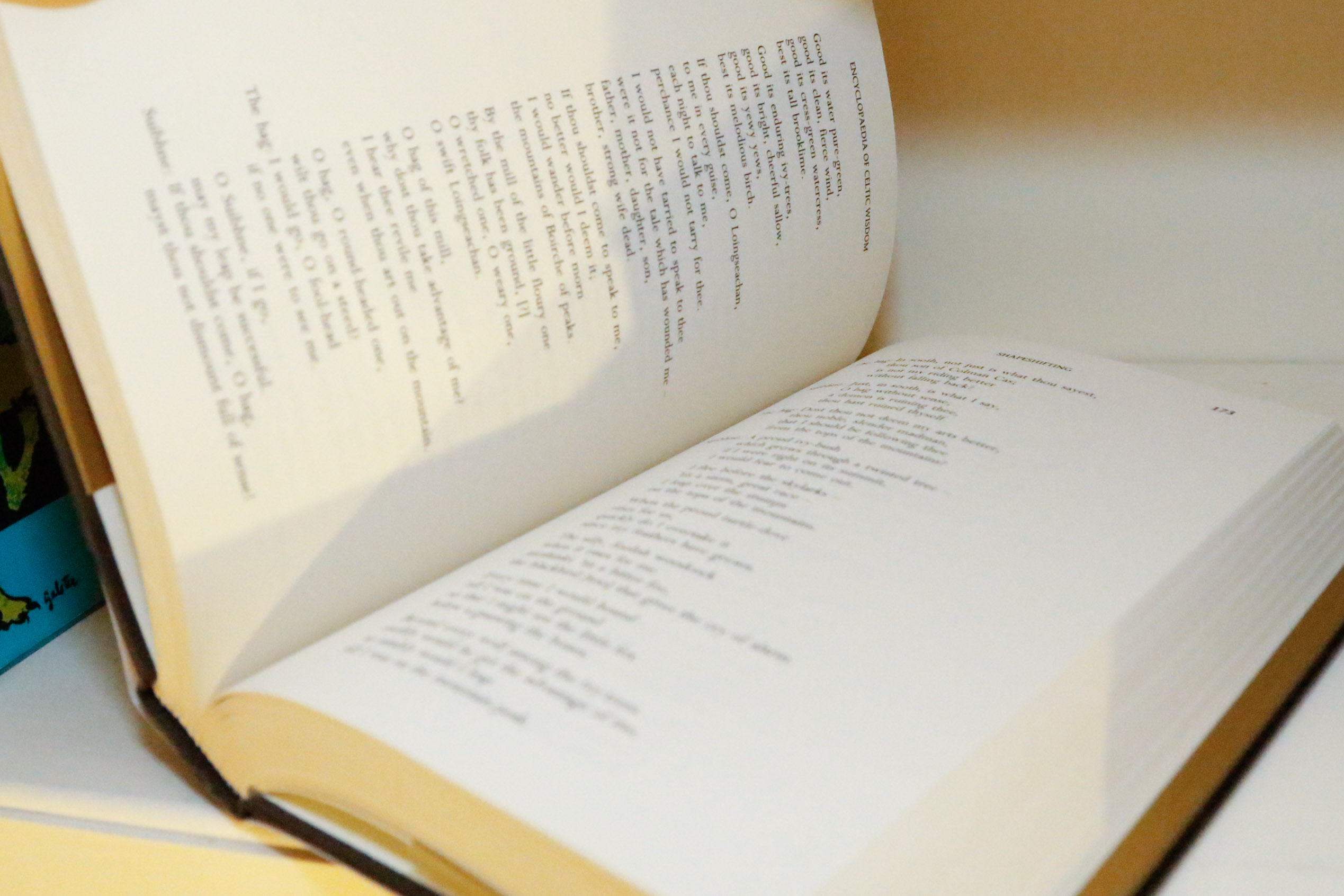 Collection of Books on Irish and Celtic Folklore