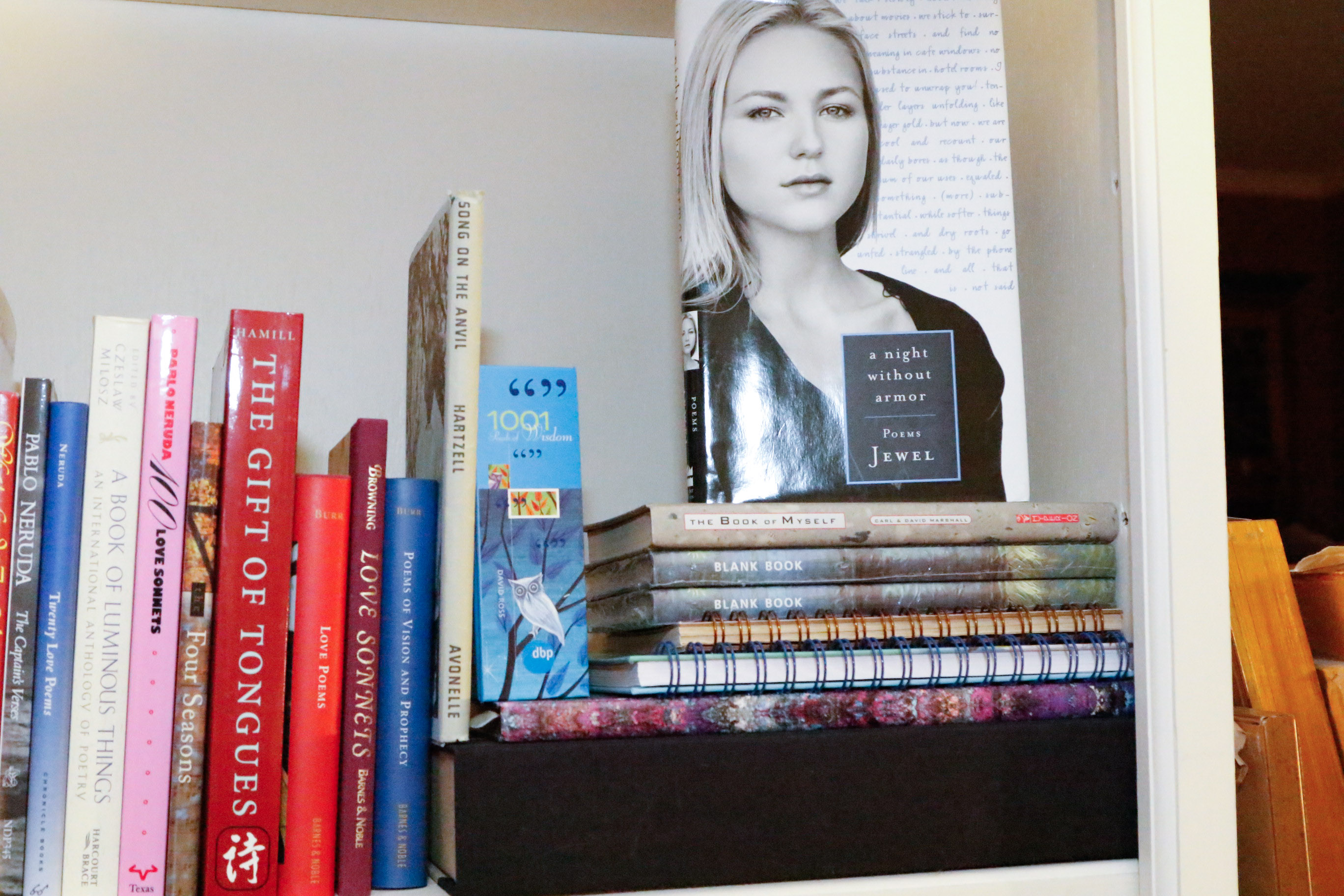 Book Collection: Language, Writing, & Poetry