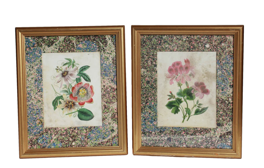 Collection of Floral and girl Lithographs