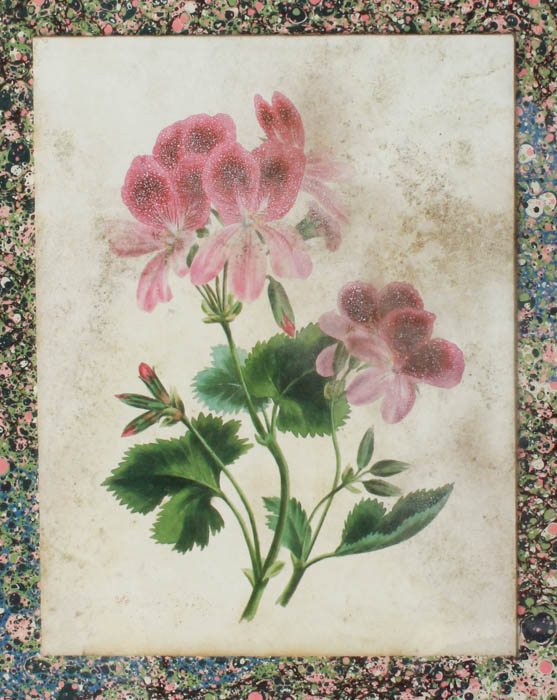 Collection of Floral and girl Lithographs