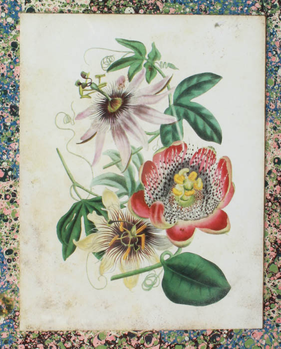 Collection of Floral and girl Lithographs