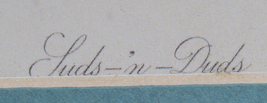 Collection of Floral and girl Lithographs