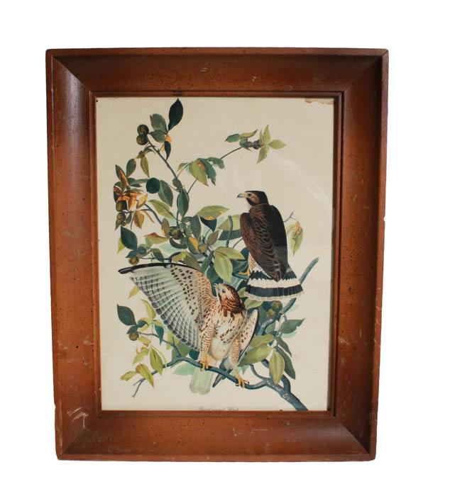 Collection of Floral and girl Lithographs