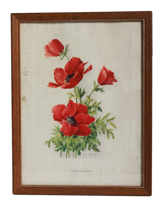 Collection of Floral and girl Lithographs