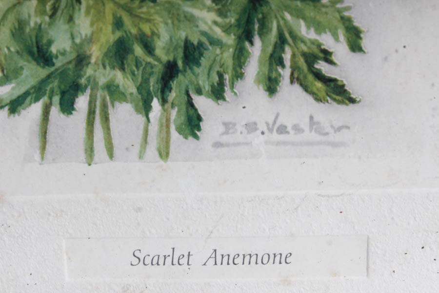 Collection of Floral and girl Lithographs