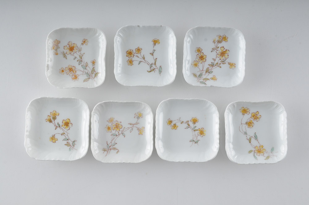 Collection of C.H. Field Haviland Limoges Fine Bone China