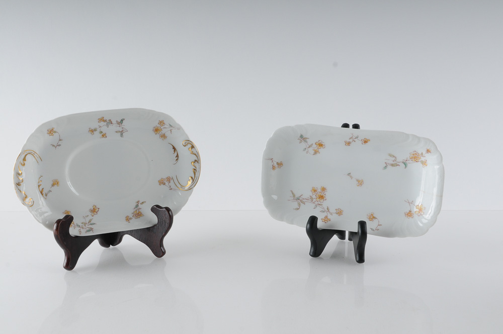 Collection of C.H. Field Haviland Limoges Fine Bone China