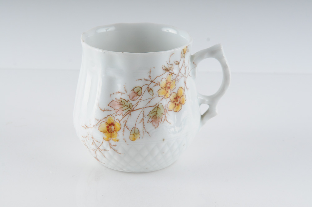 Collection of C.H. Field Haviland Limoges Fine Bone China