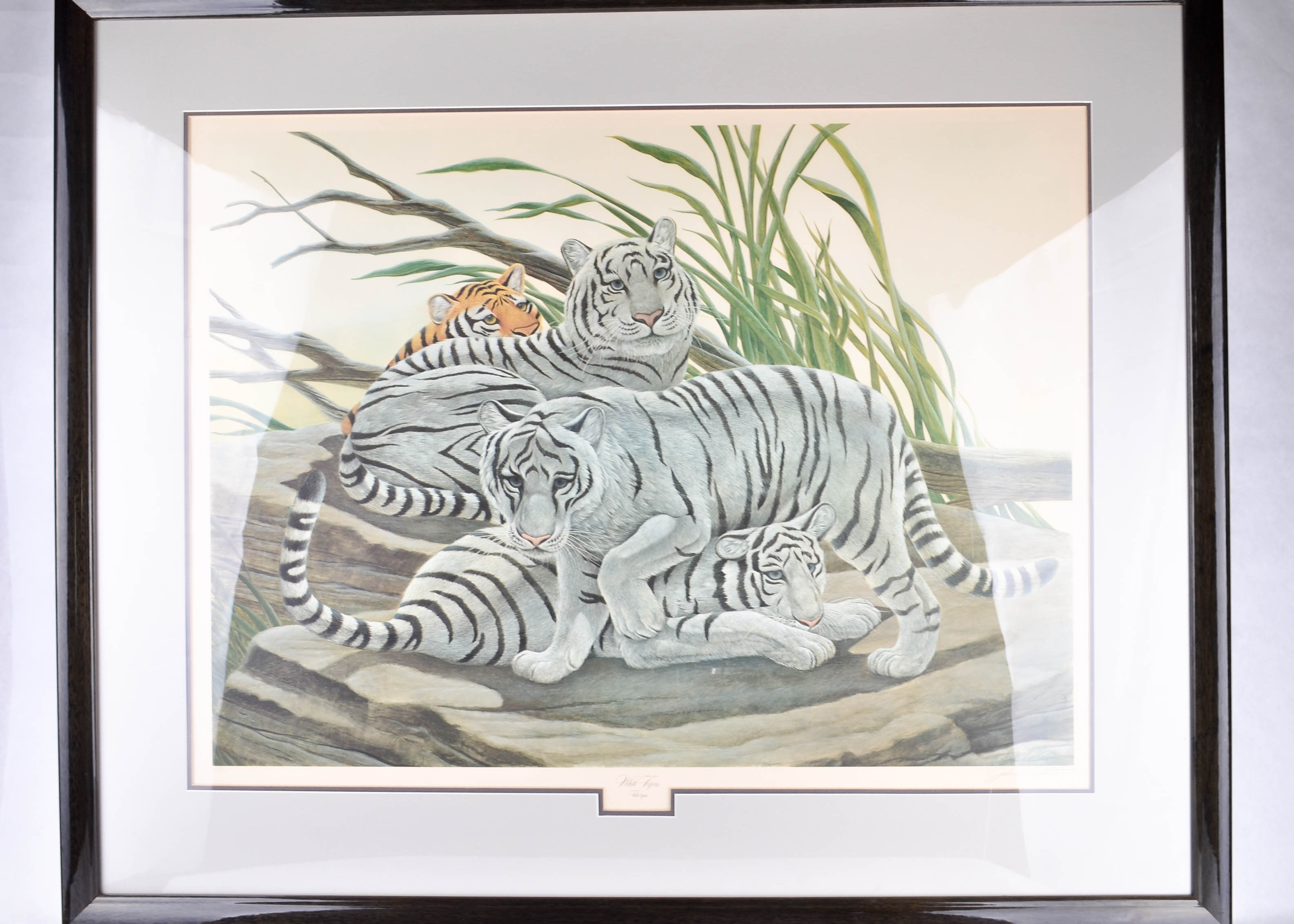 John Ruthven "White Tigers" Signed and Framed Print