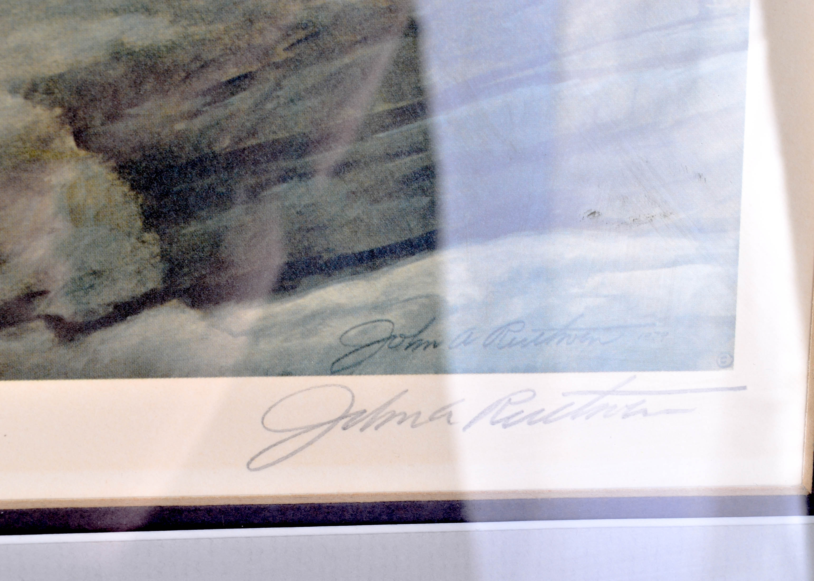 John Ruthven "White Tigers" Signed and Framed Print