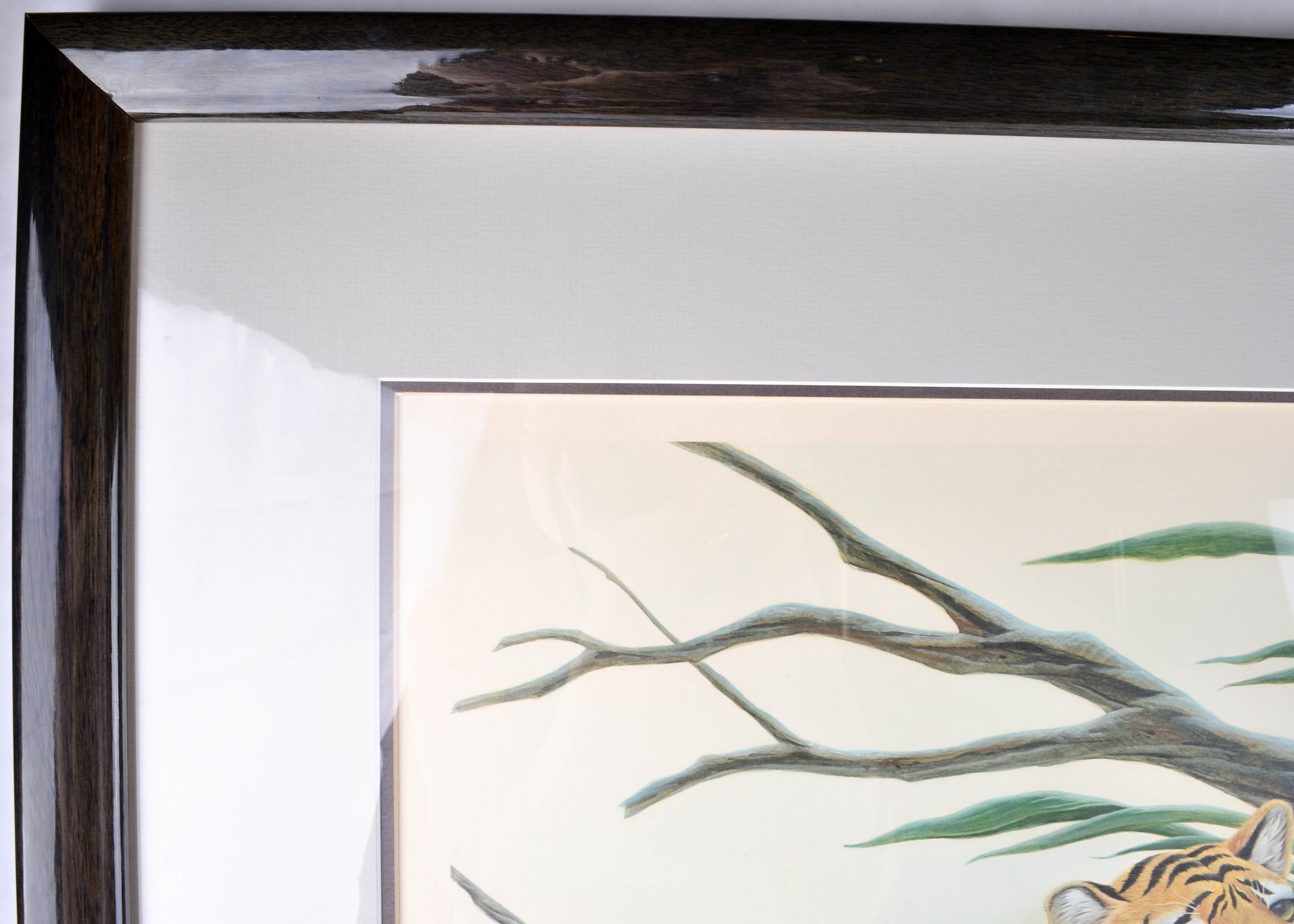 John Ruthven "White Tigers" Signed and Framed Print