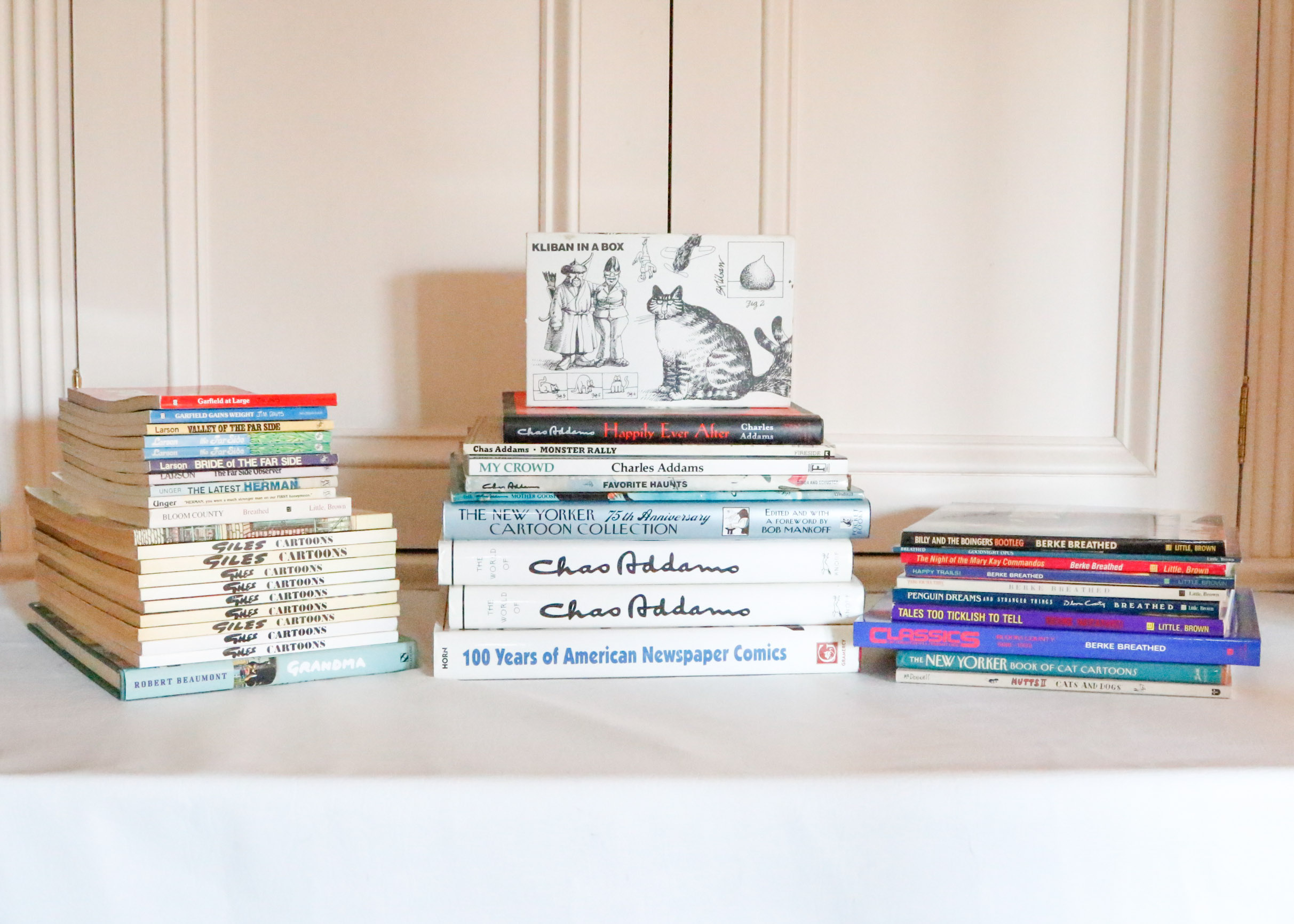 Book Collection: Comics & Cartoons