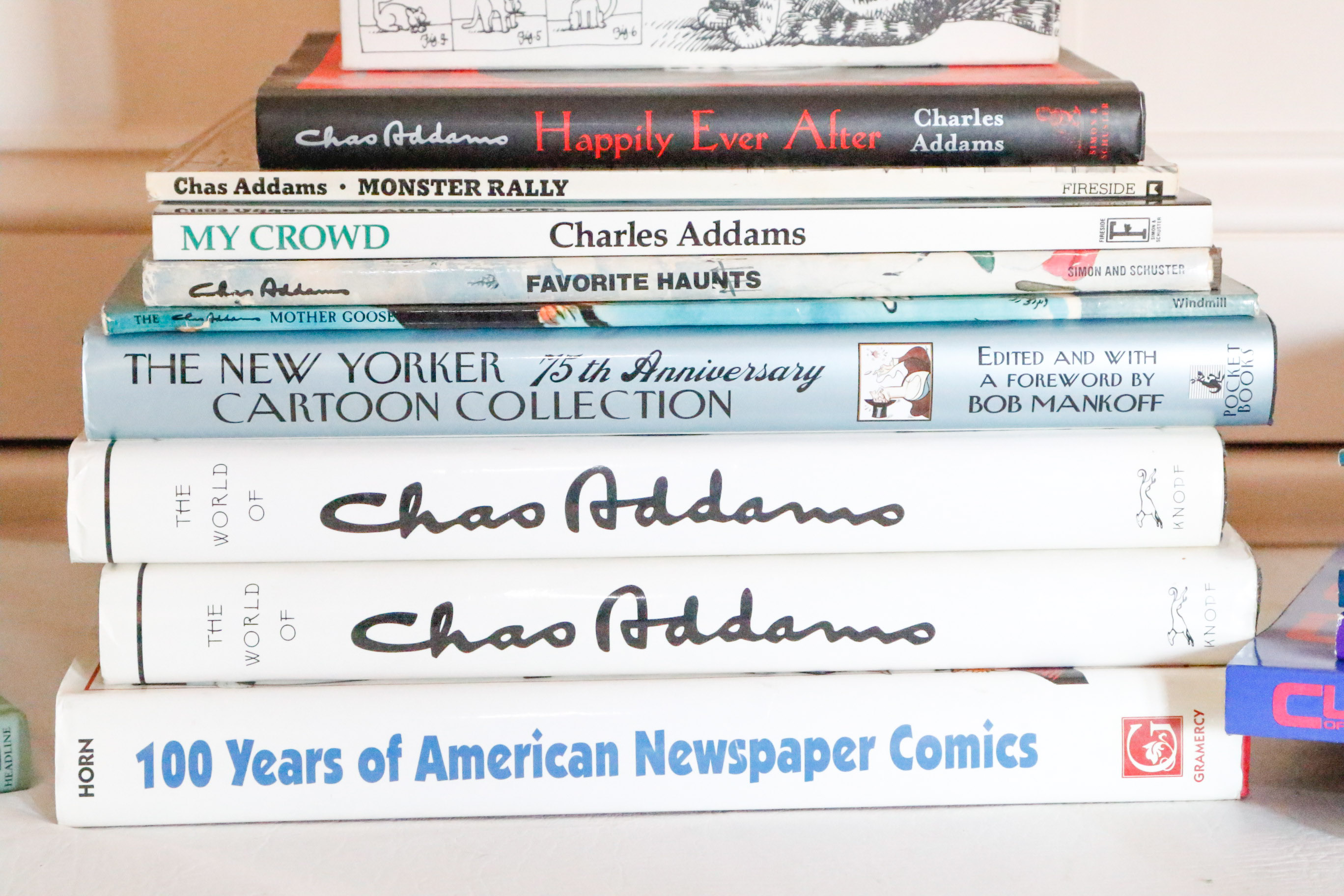 Book Collection: Comics & Cartoons