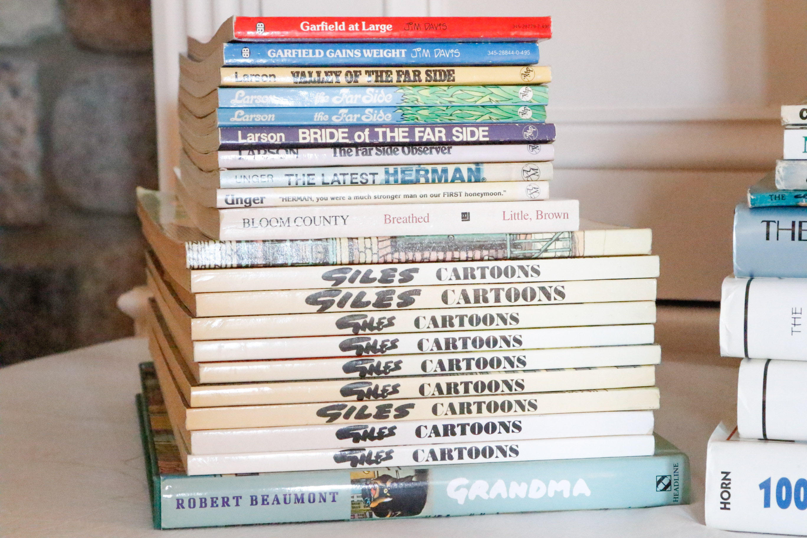 Book Collection: Comics & Cartoons