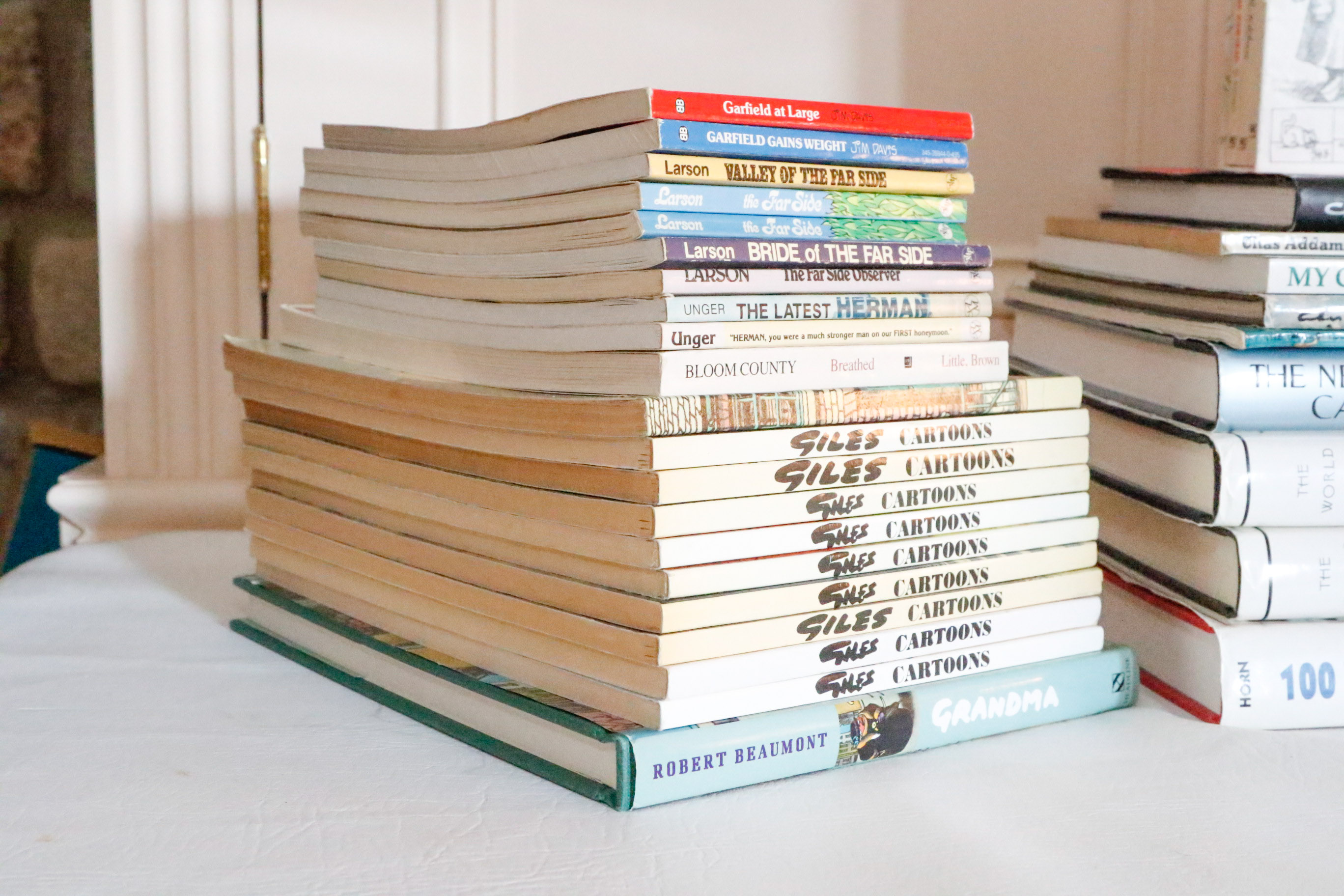 Book Collection: Comics & Cartoons