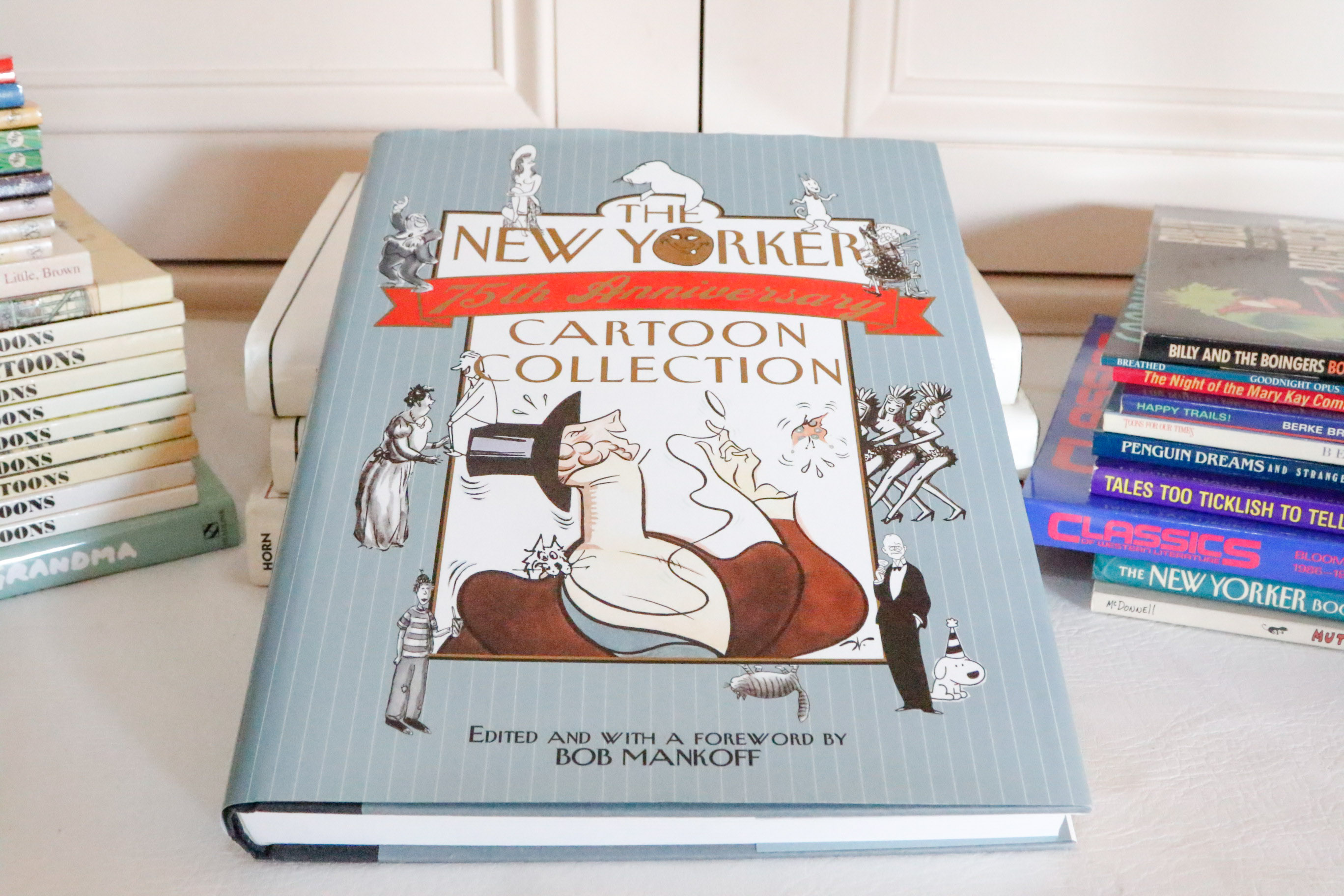 Book Collection: Comics & Cartoons