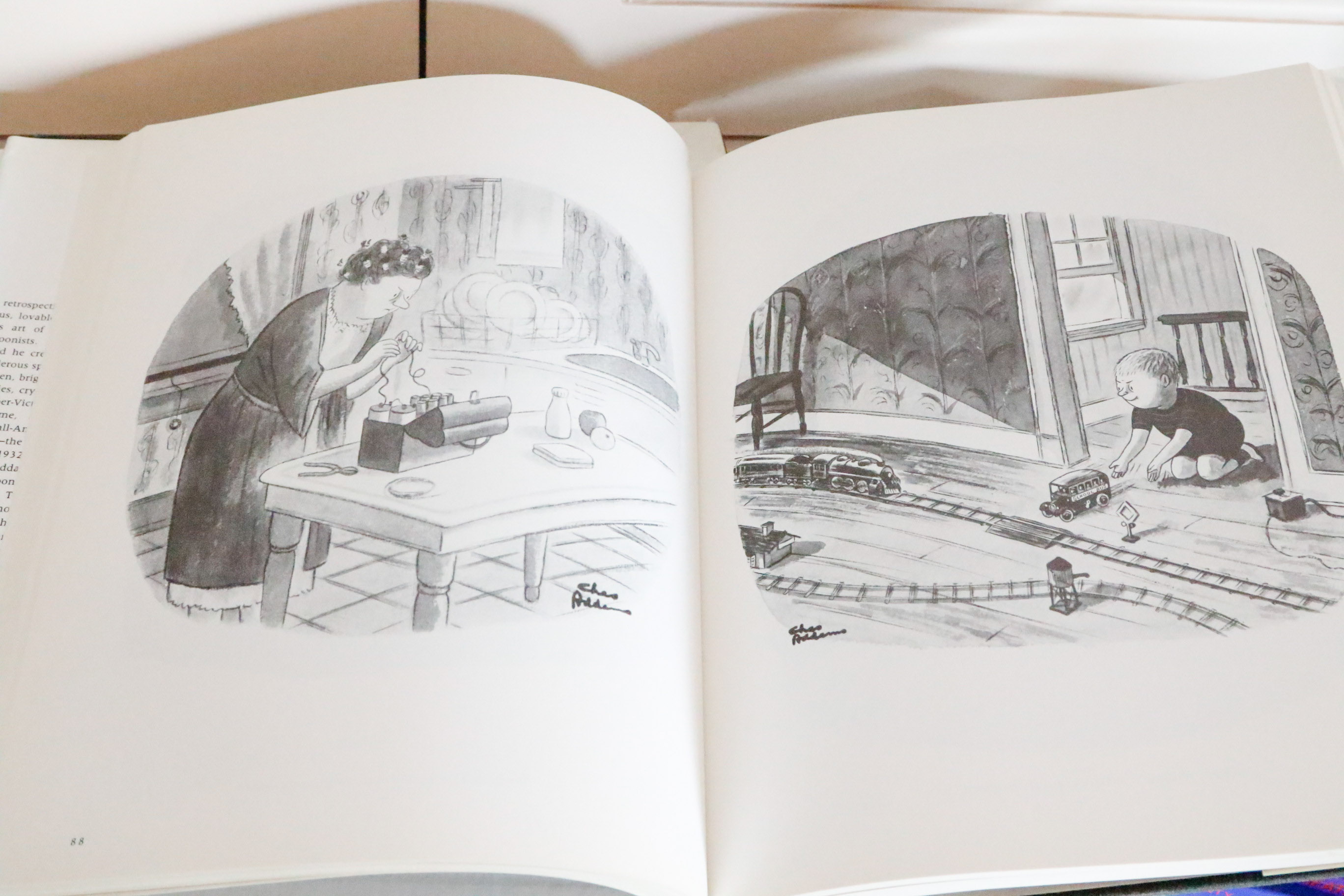 Book Collection: Comics & Cartoons