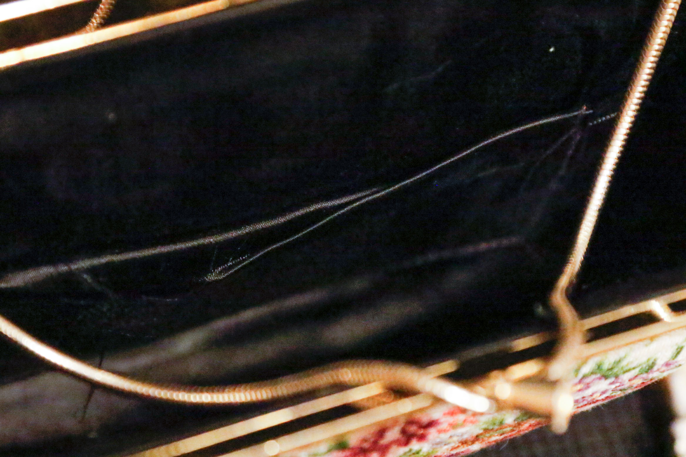 Vintage Clutches, Compacts, and More