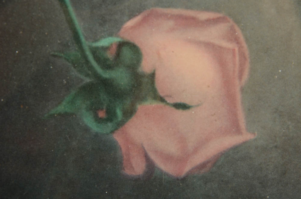 Florence Julia Bach Lithograph