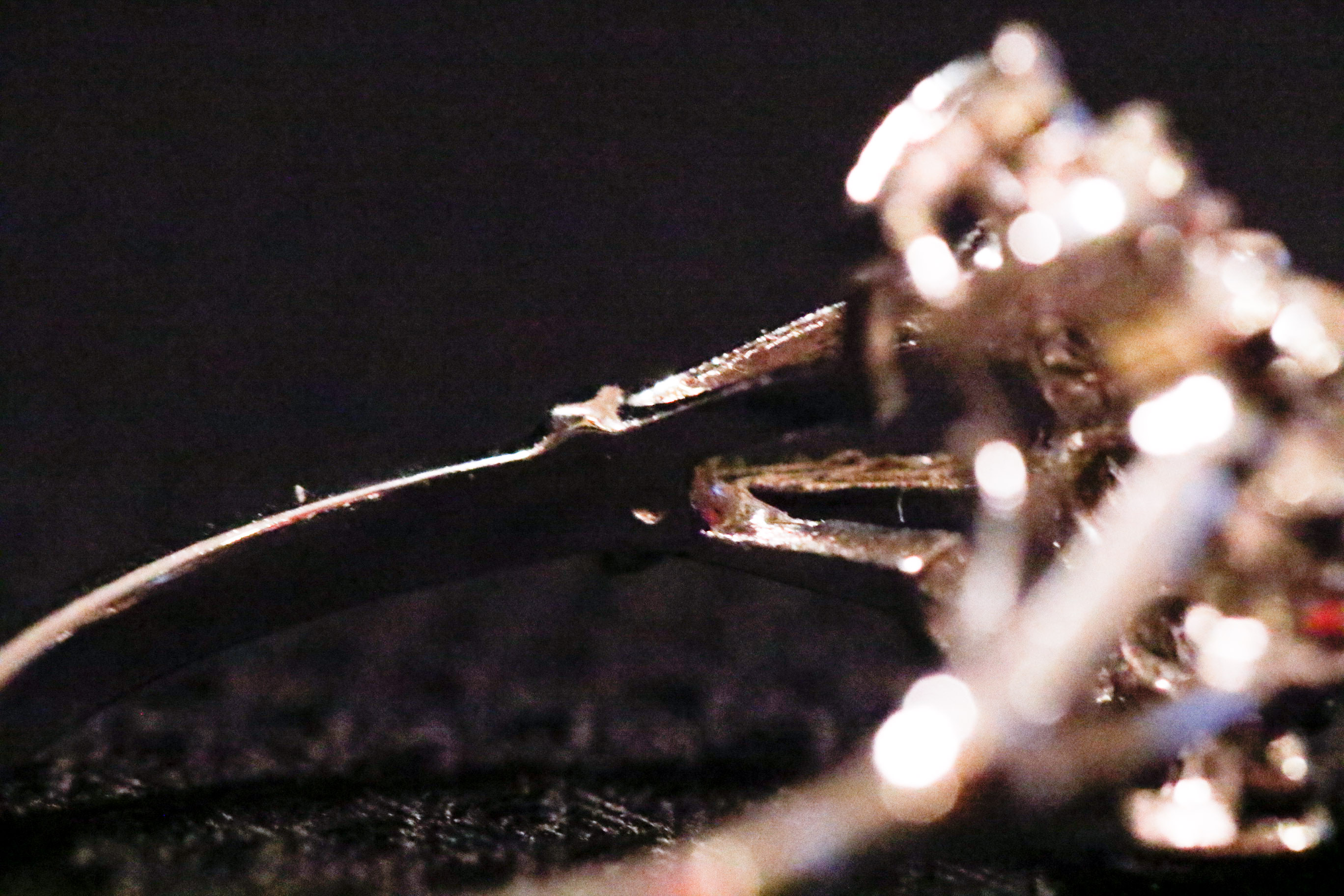 Sterling and Simulated Stone Designer Fashion Jewelry