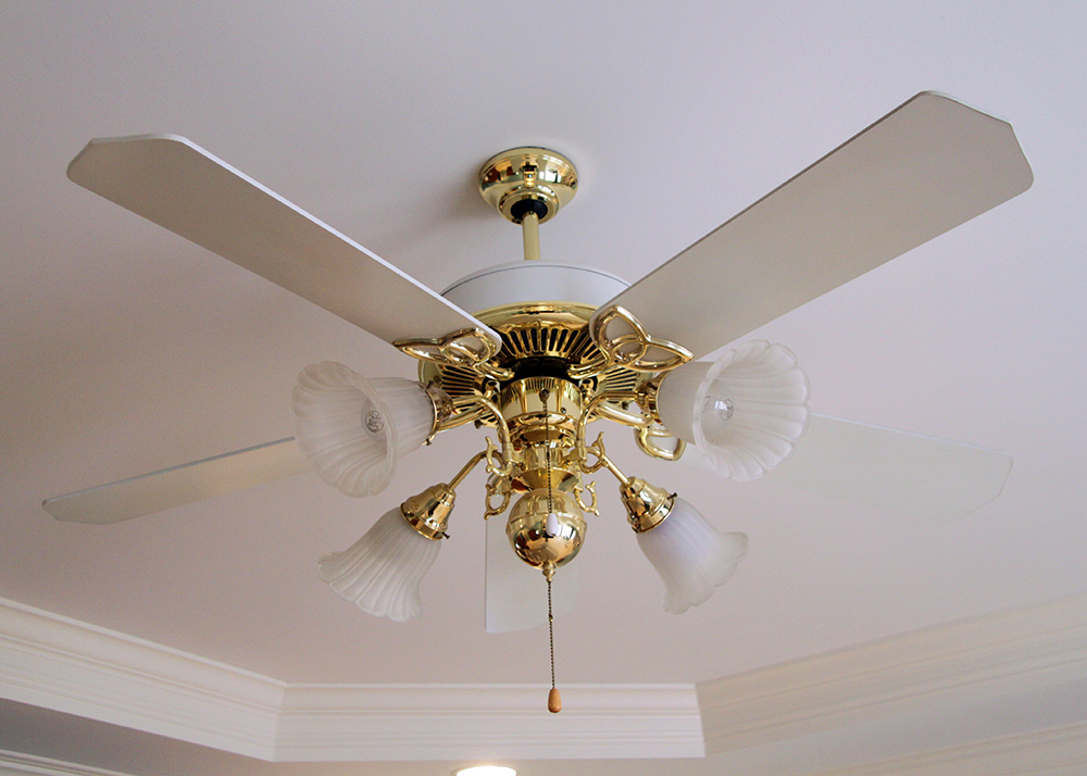 Craftmade Frosted Glass and Brass Ceiling Fan