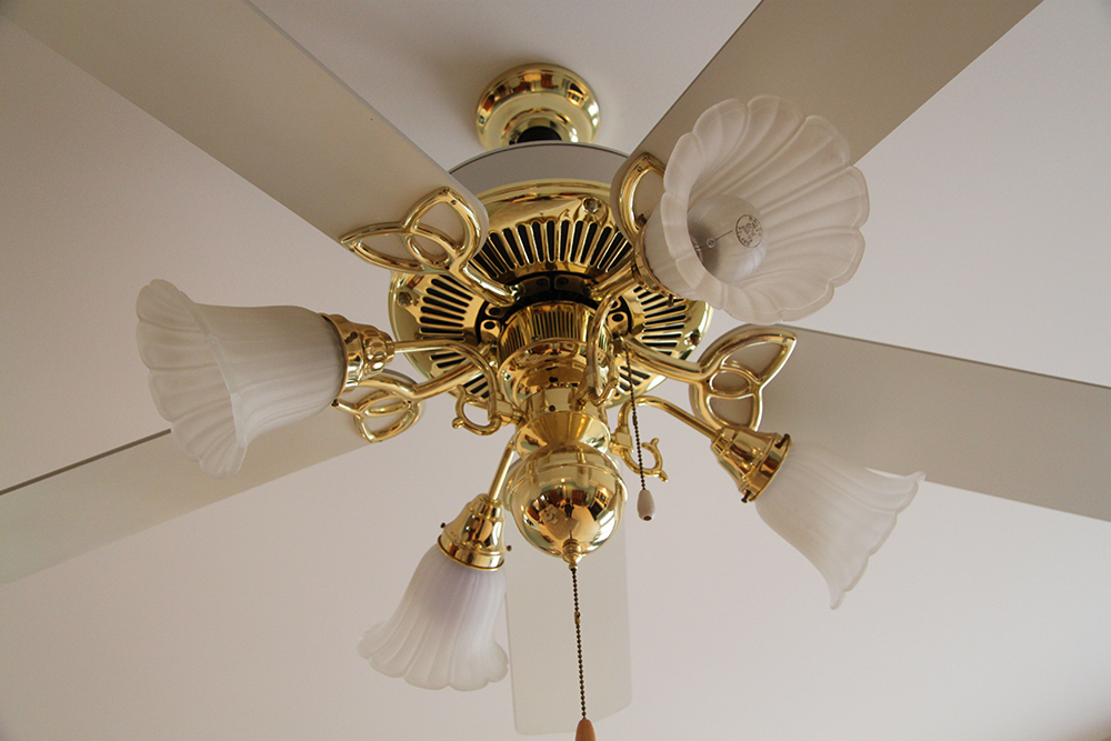 Craftmade Frosted Glass and Brass Ceiling Fan