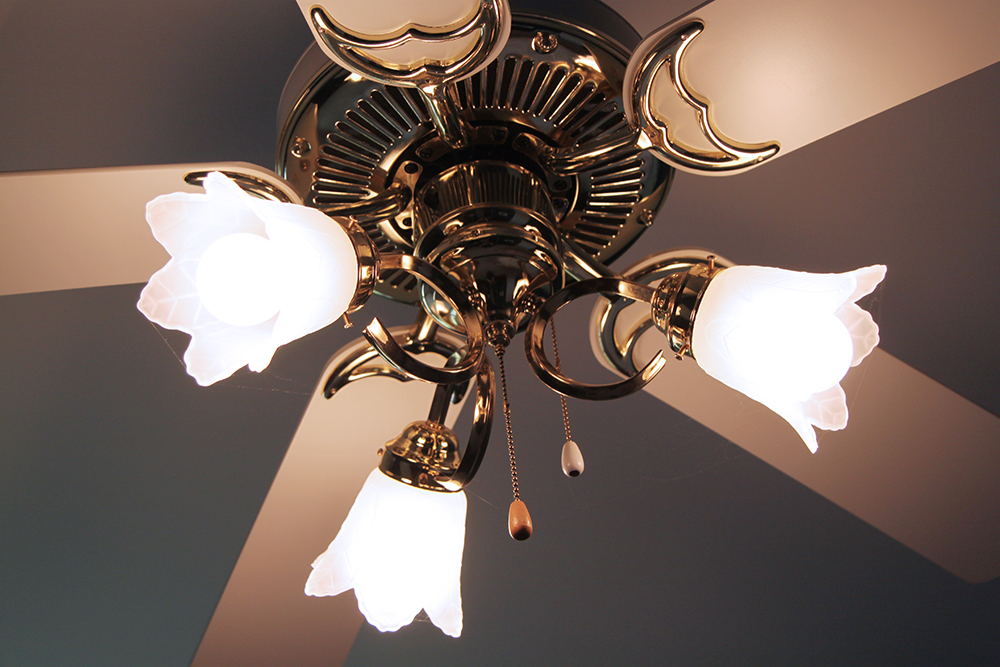 Craftmade Frosted Glass and Brass Ceiling Fan