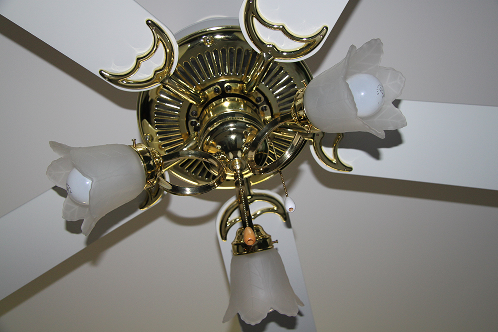 Craftmade Frosted Glass and Brass Ceiling Fan