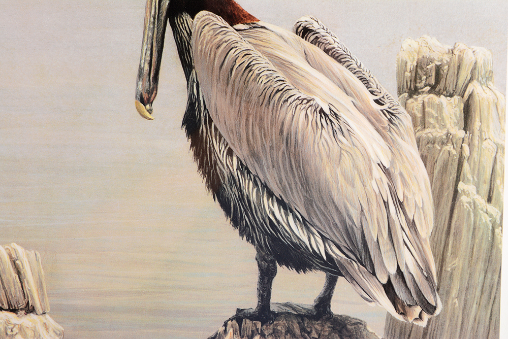 "Brown Pelican and Pilings" Limited Edition Offset Lithograph