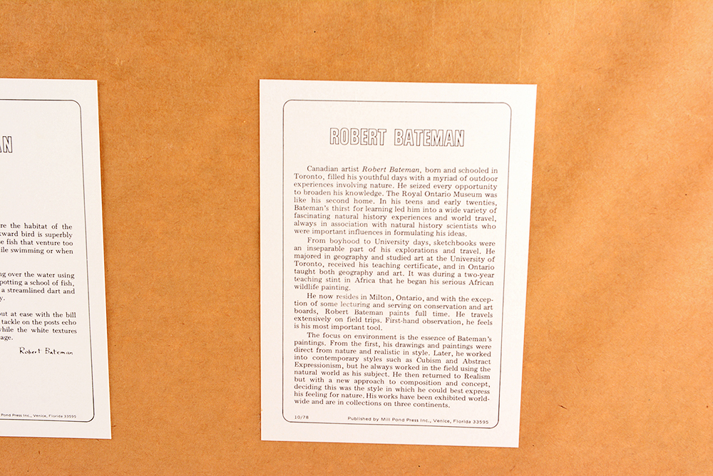 "Brown Pelican and Pilings" Limited Edition Offset Lithograph