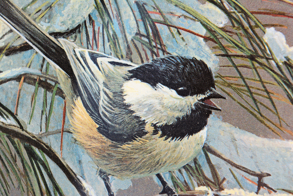 Robert Bateman "Winter Song-Chickadees" Limited Edition Print