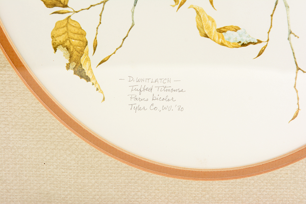 Don Whitlock "Tufted Titmouse" Offset Lithograph