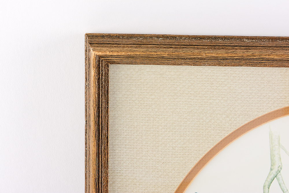 Don Whitlock "Tufted Titmouse" Offset Lithograph