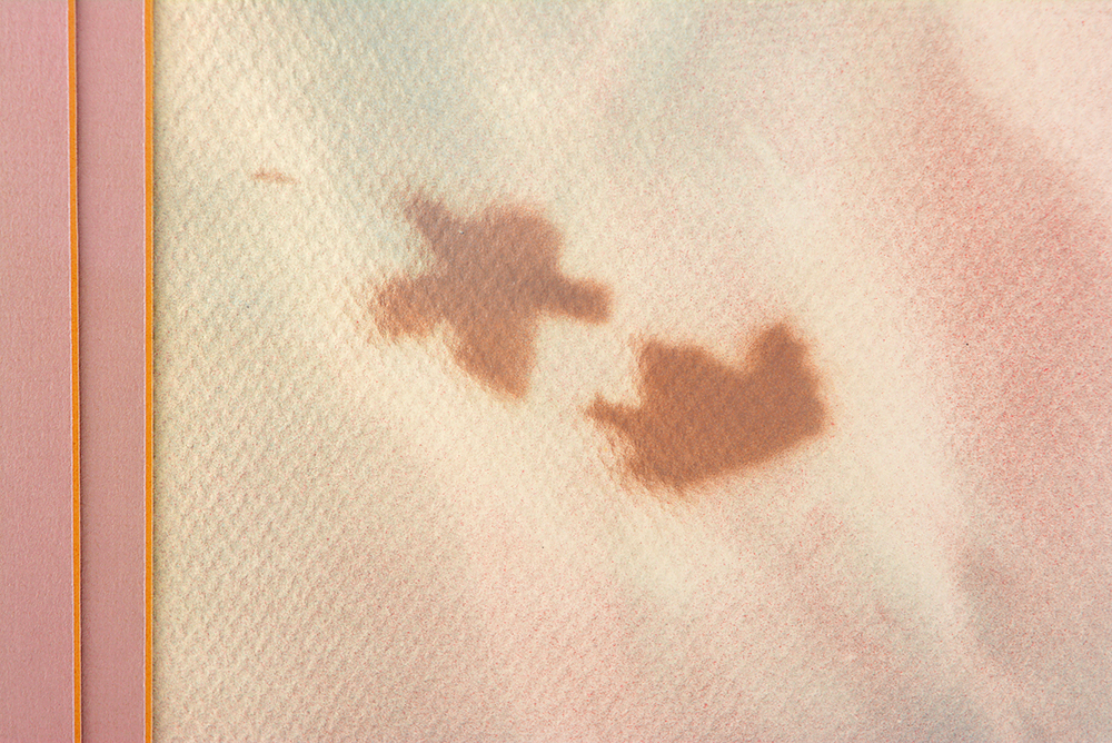 Wildflowers I and II Airbrush Paintings