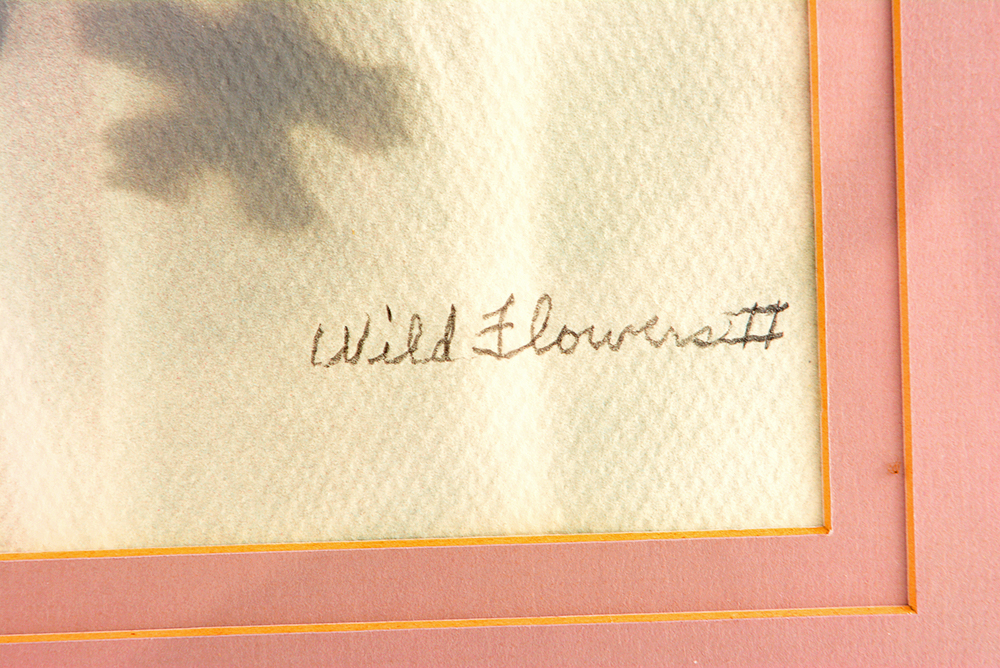 Wildflowers I and II Airbrush Paintings