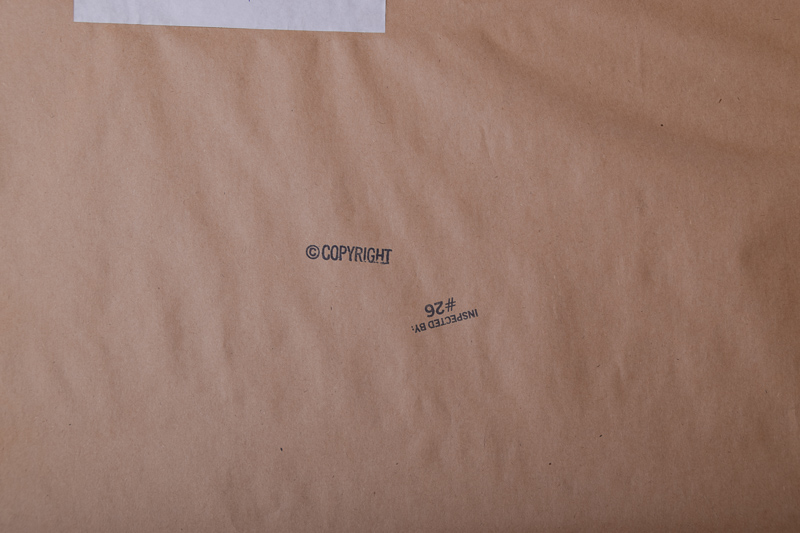 Windsor Art Acrylic Painting on Canvas Titled "Cactus Pots"