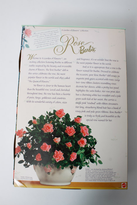 Boxed and Vintage Barbie Doll Collection