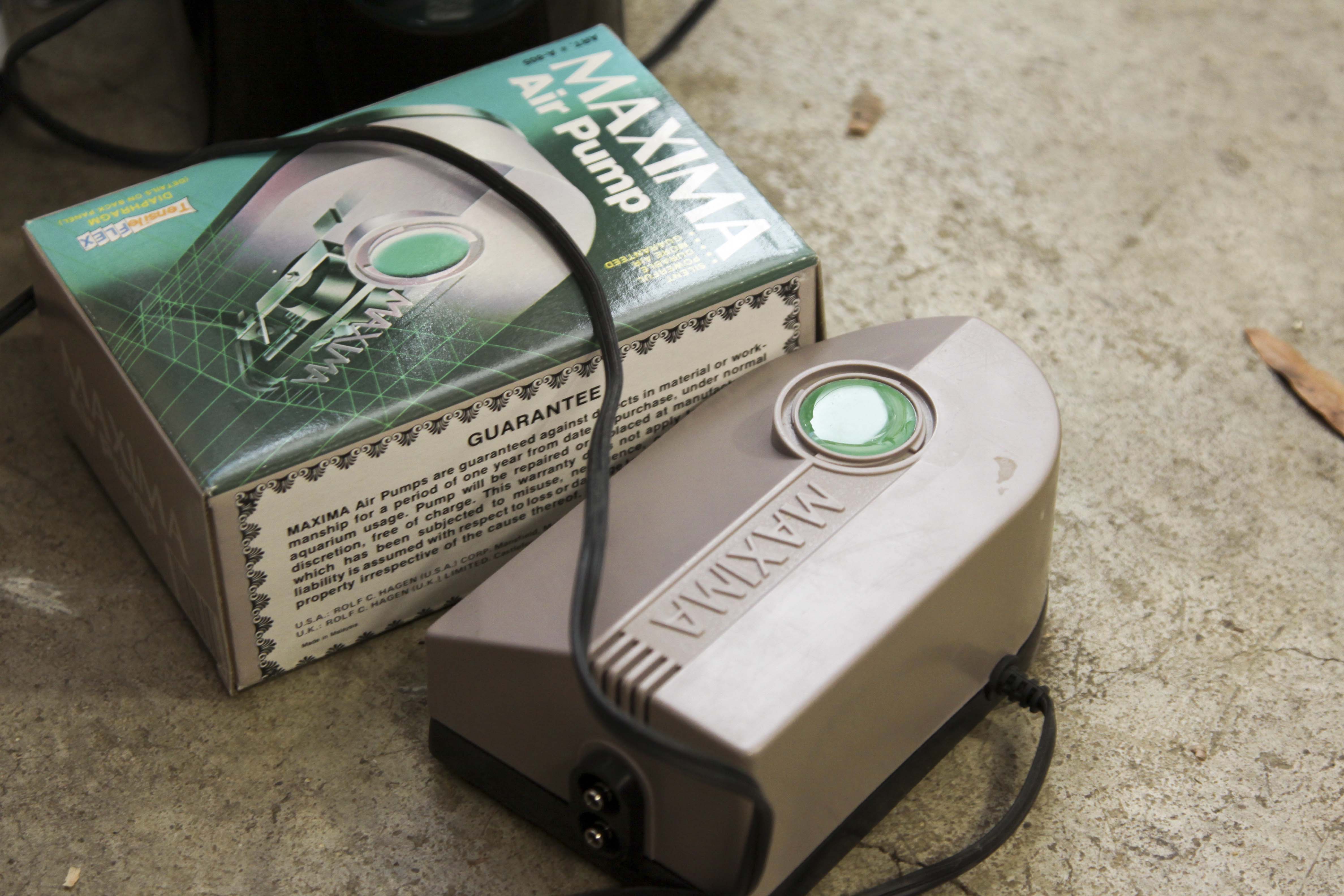 37-Gallon Tall All-Glass Aquarium and Accessories