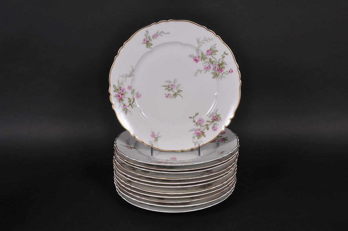 Haviland Limoges "Sylvia" China Set