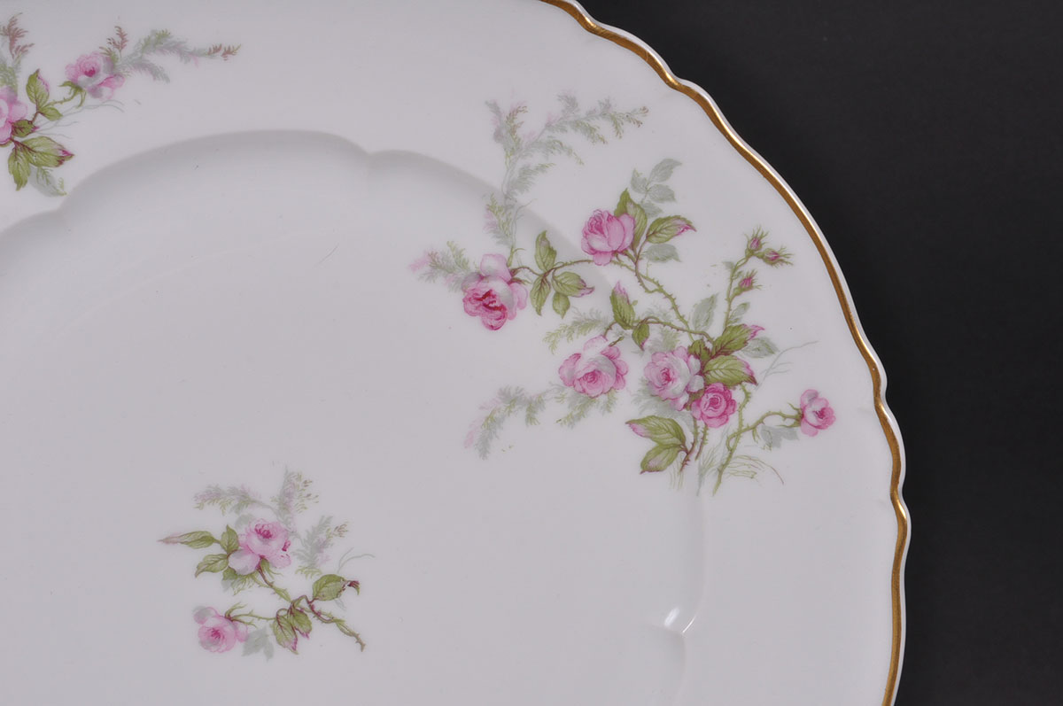 Haviland Limoges "Sylvia" China Set