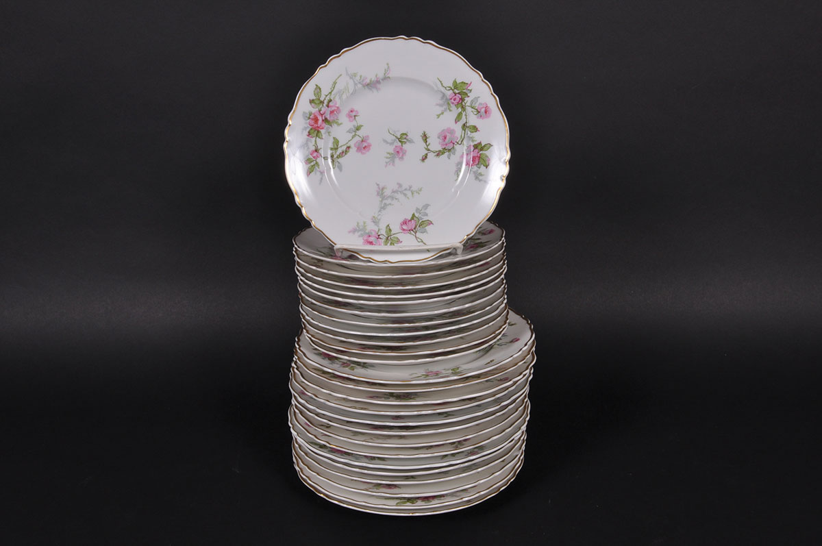 Haviland Limoges "Sylvia" China Set