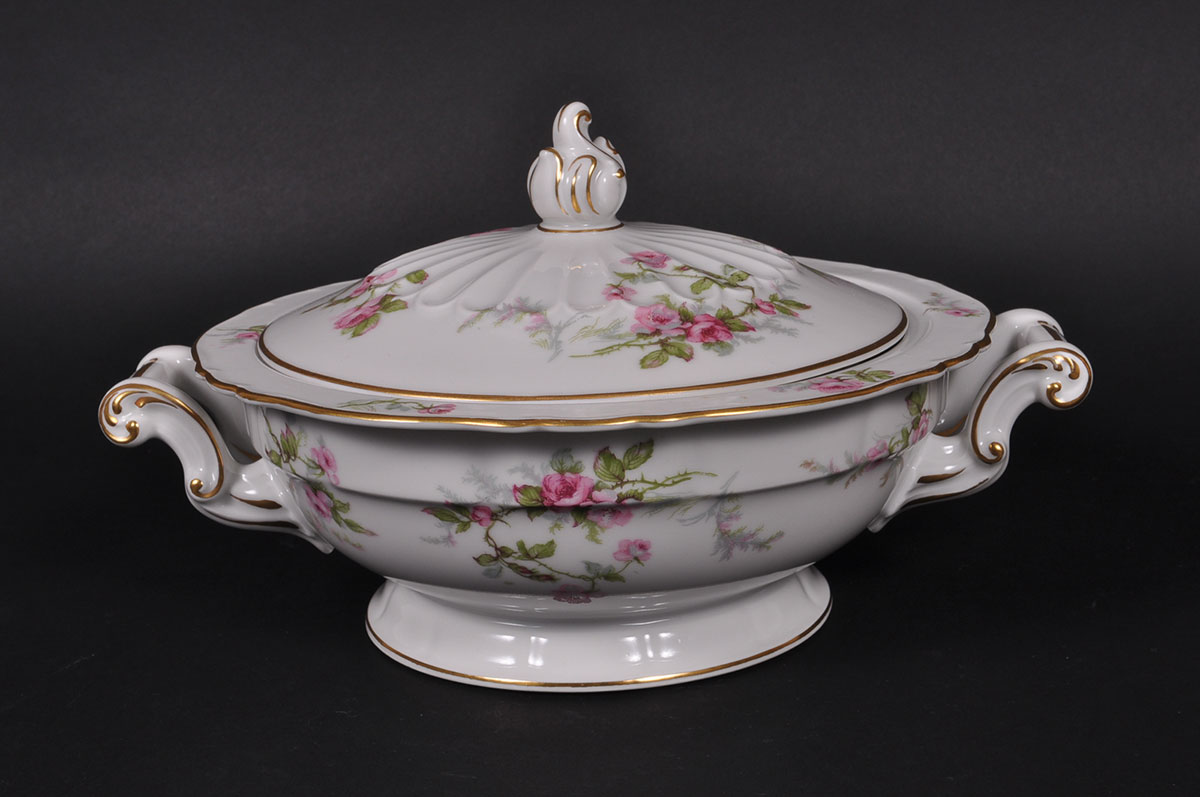Haviland Limoges "Sylvia" China Set