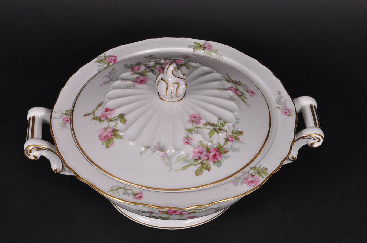 Haviland Limoges "Sylvia" China Set