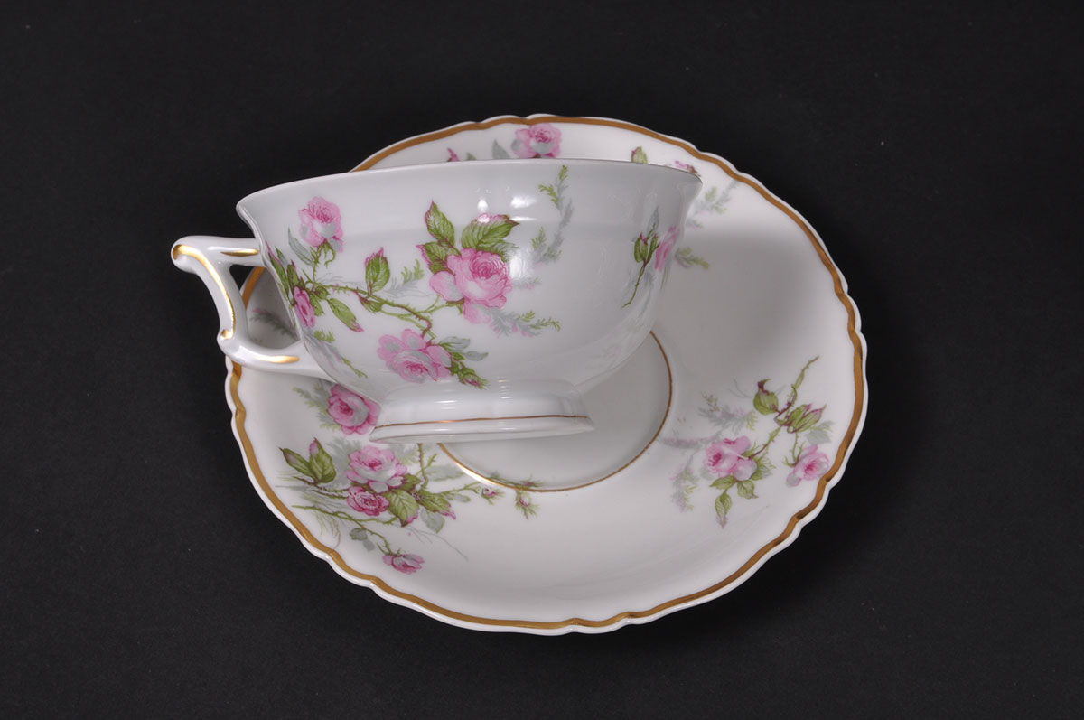 Haviland Limoges "Sylvia" China Set