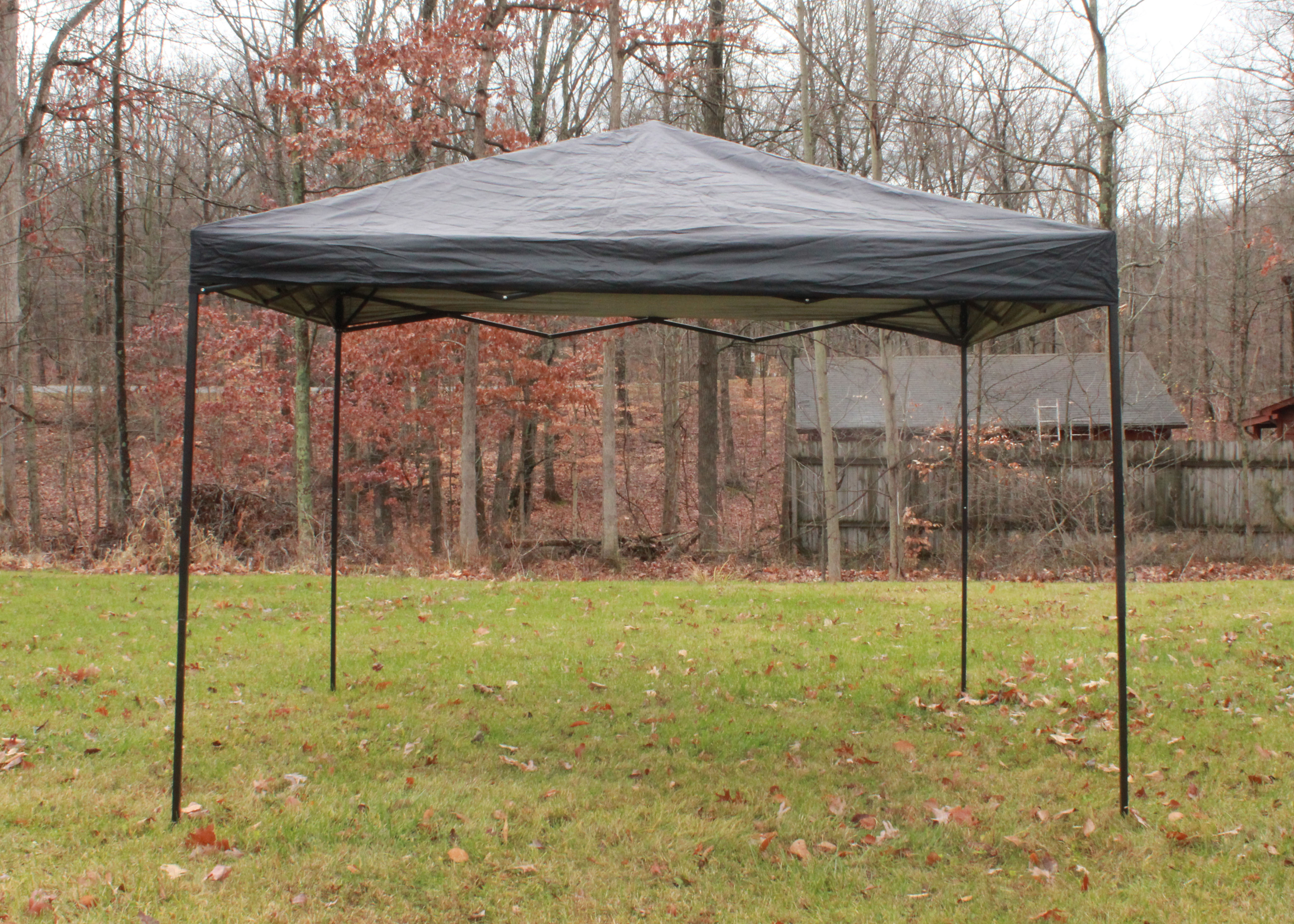 Element Multi-Purpose Instant Canopy