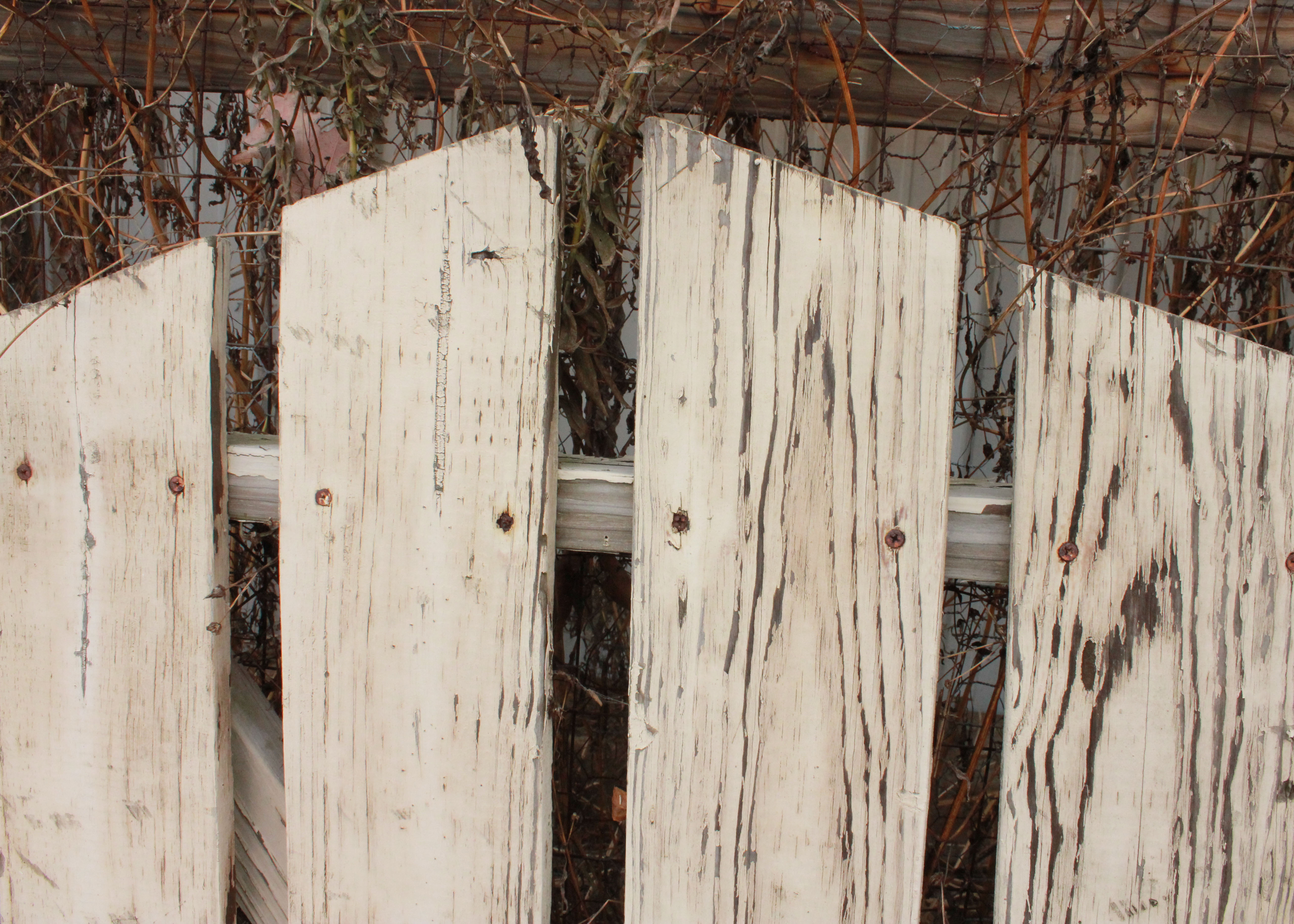 Reclaimed Wooden Fence Door