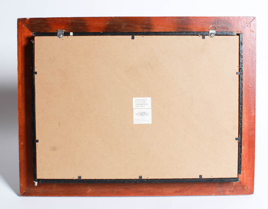 Framed Fisherman Ropes and Decor