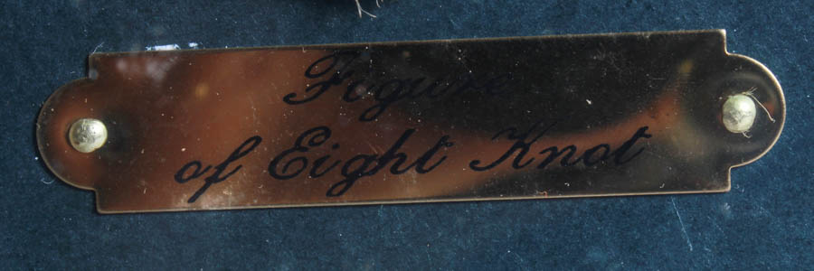 Framed Fisherman Ropes and Decor